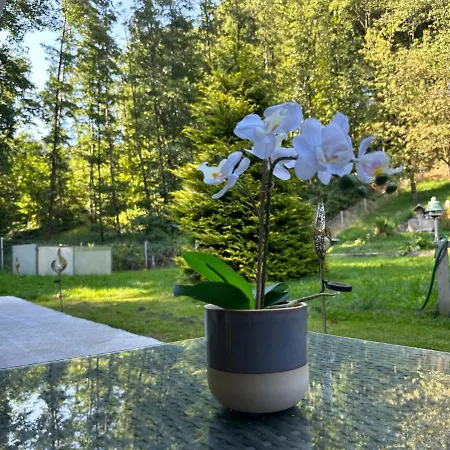 Appartement Poestlingbergoase *